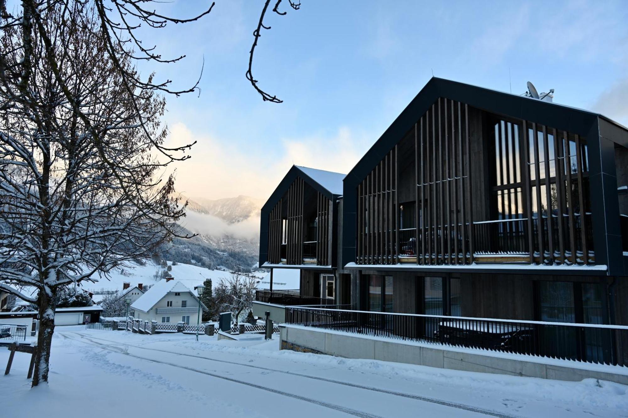 Aloha Suites - Alpin Lodge Haus Хаус-им-Энншталь Экстерьер фото